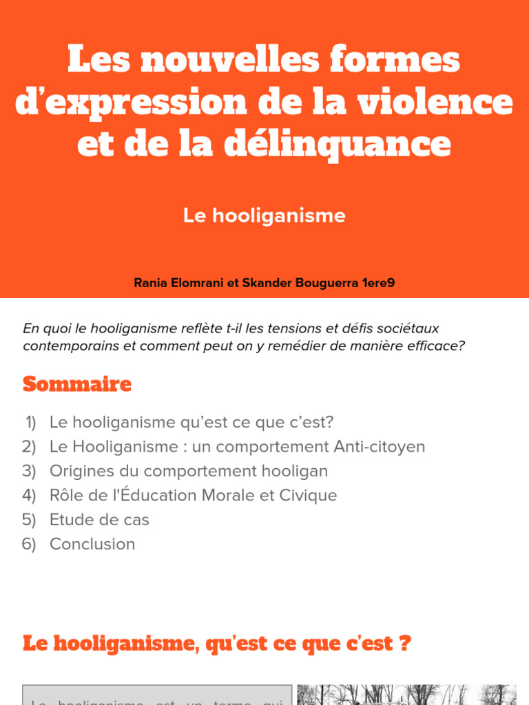 Hooliganisme : enjeux et solutions sociétales | PDF | Crimes | Crime et ...