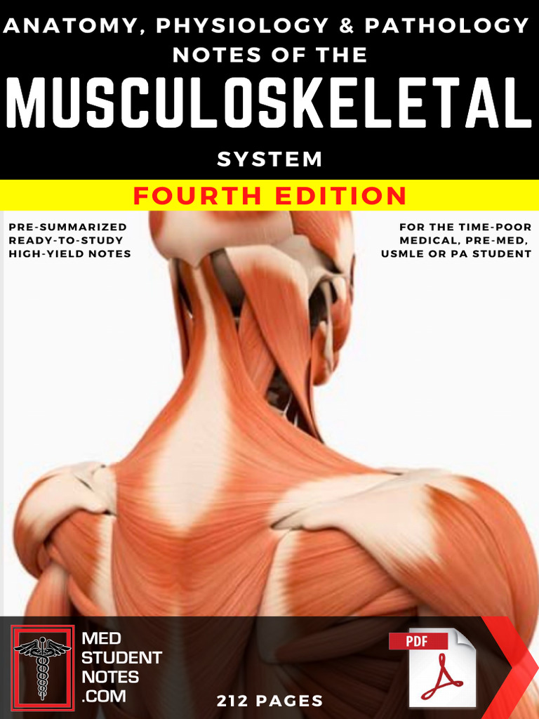 Musculoskeletal System 4th Ed Pdf Bone Muscle Contraction