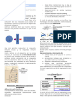 Clases 3 y 4 - Inmunología