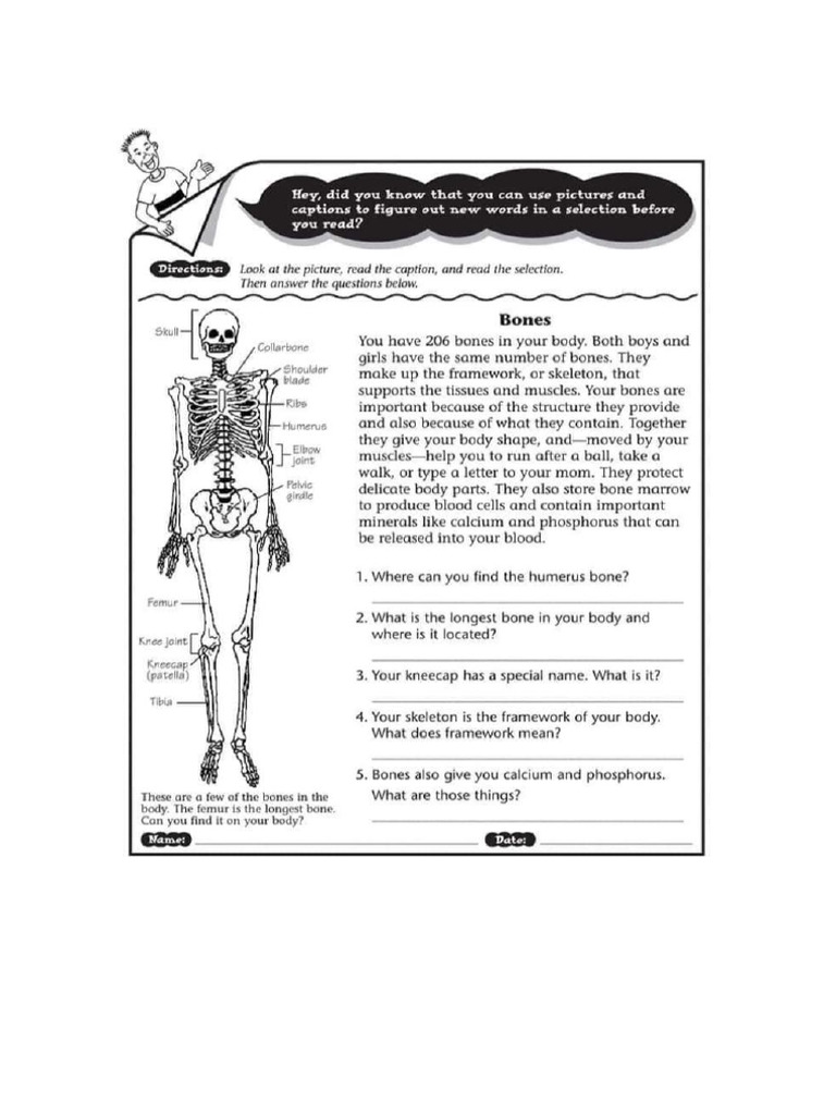 Reading Pdf