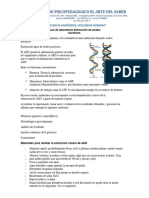 Guia de Laboratorio Extracción de Ácidos Núcleicos 9no