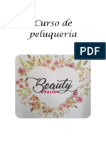 Curso de Peluqueria (Recuperado Automáticamente)