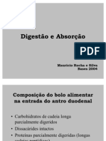 digestao e absorcao 2004