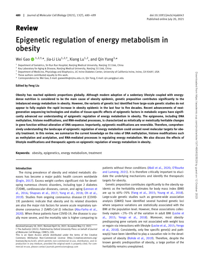 Epigenetic Regulation of Energy Metabolism in Obesity-1 | PDF ...