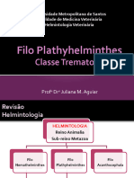 Filo Plathyhelminthes - TREMATODA