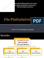 Filo Plathyhelminthes - CESTODA 2023