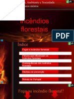 19 Incendios Florestais