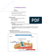 Articulación Acromioclavicular