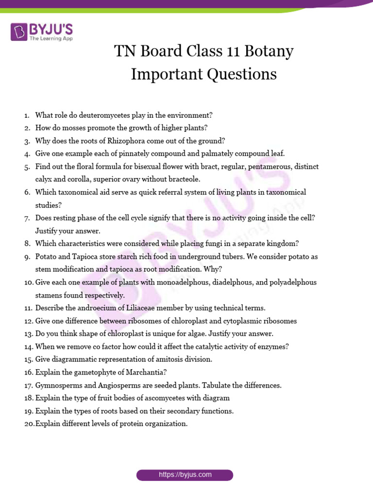 TN Board Class 11 Botany Important Questions PDF