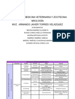 Miología Origen e Inserción