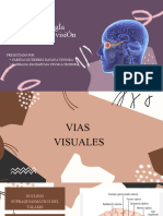 El Ojo III NeurofisiologÍa Central de La Visión