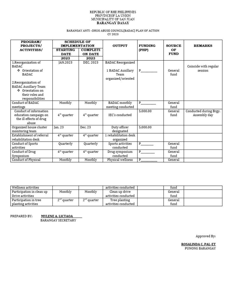 Badac Plan Of Action Pdf
