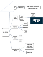 Mapa Col Cervical