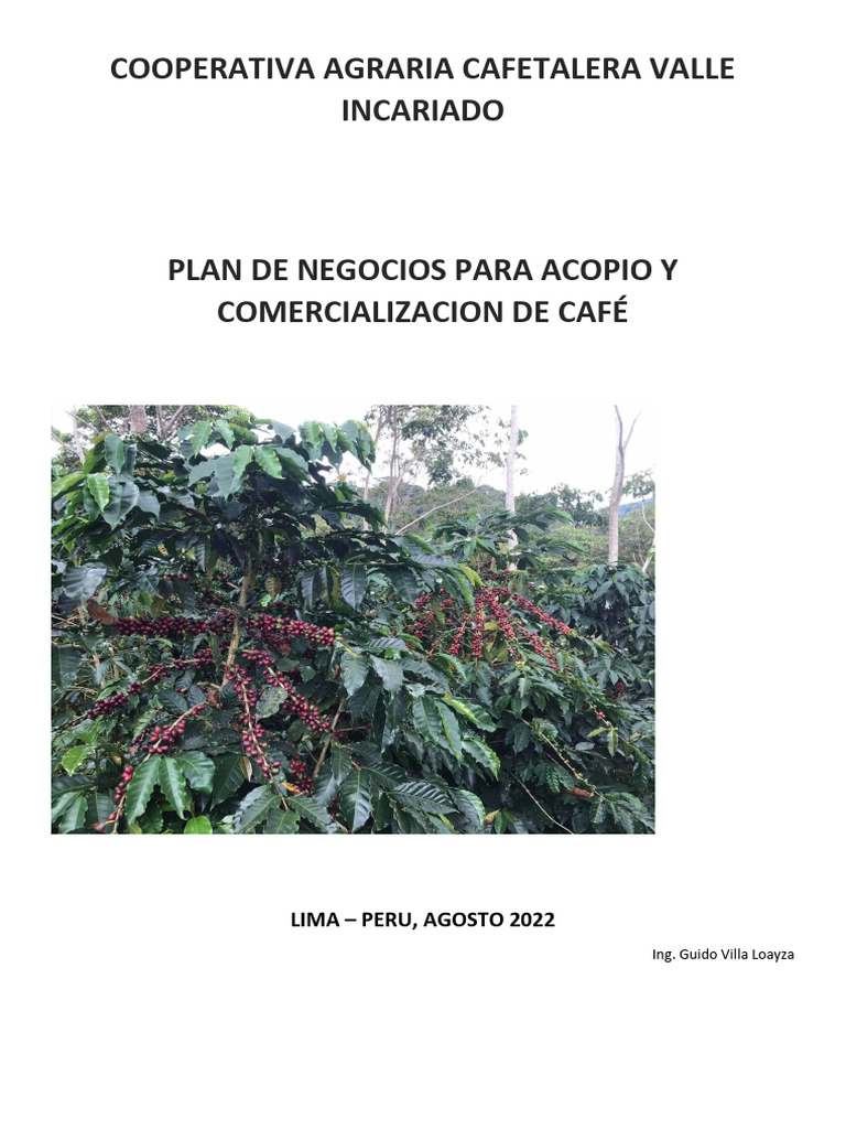 Plan de Negocios para Café Verde | PDF | café | Bolsa