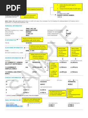 Credit Report