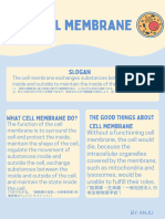 Scientific Method Educational Poster