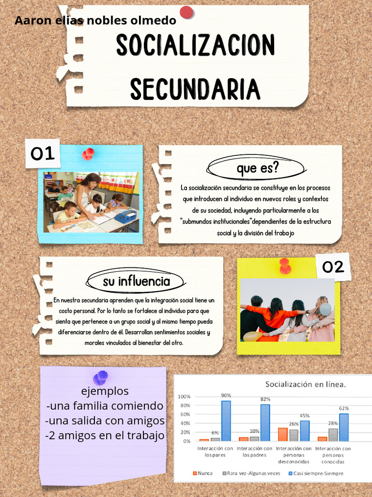 Socializacion Secundaria Pdf