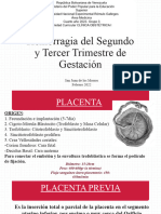 Hemorragias de 2do y 3er Trimestre