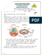 Guia Ciencias