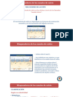 Diapositivas - Tema 3 - Antagonistas de Los Canales de Calcio - I PAC 2024