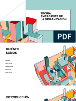 Teoria Emergente de La Organización-1