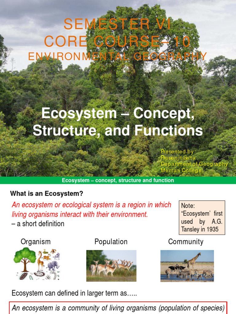 CC10 Theory 1.3EcosystemConcept, StructureandFunction | PDF | Ecosystem ...