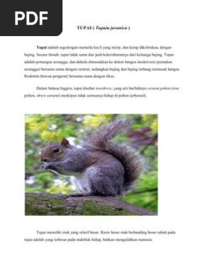 Tupai Pdf