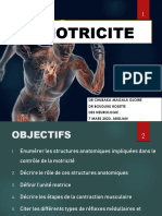 La Motricite