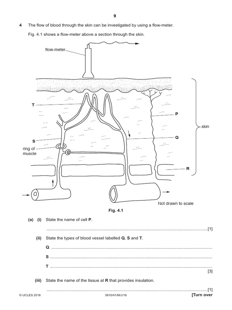 Blood Flow and Skin Temperature Effects | PDF | Skin | Blood