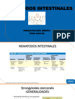 Clase Sem 14 Uncinarias