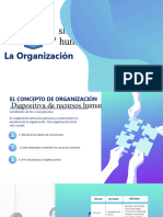 La Organizacion..