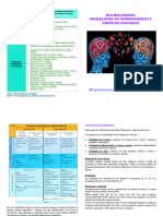 Bachillerato Humanidades PDF