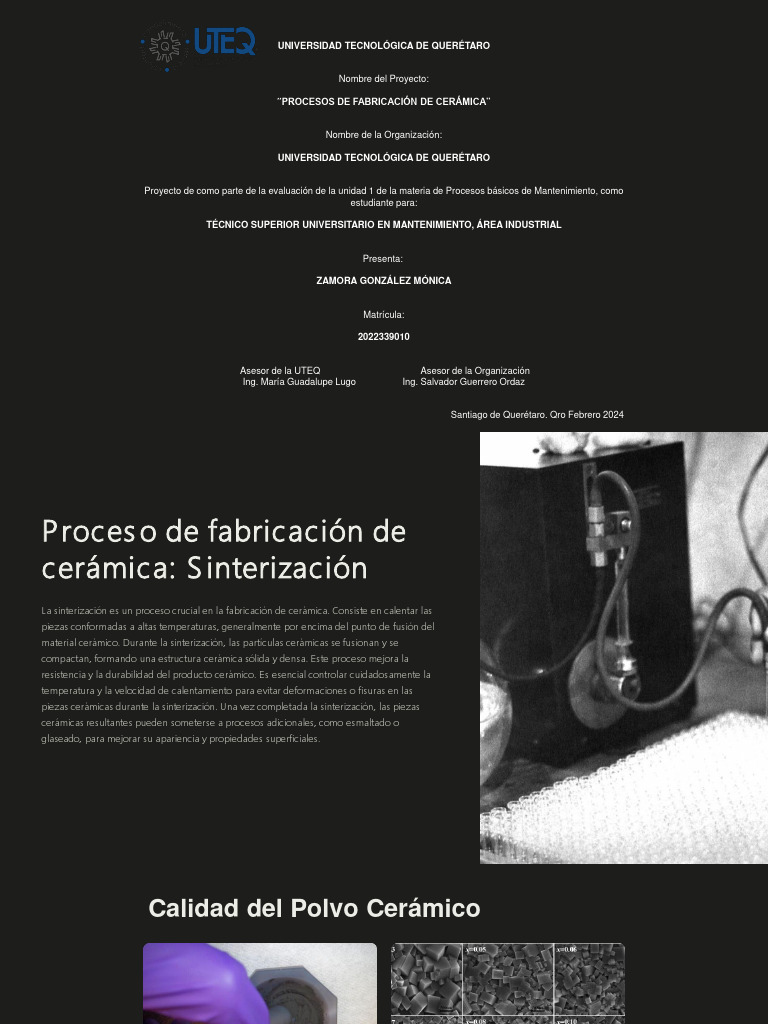 ProcesodefabricaciondeceramicaSinterizacion PDF Sinterización