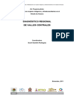 U2b Diagnostico Valles Centrales OAX_Indigenas Afrodesc