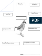 Analysis On Poem - Oven Bird