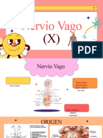 Nervio Vago FCYS