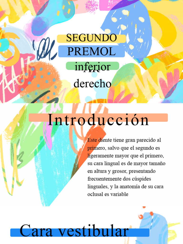 Segundo: Premol AR Inferior Derecho | PDF