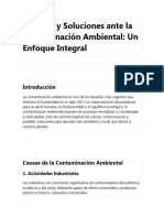 Impacto y Soluciones Ante La Contaminación Ambiental