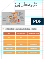 Carbohidratos Guía