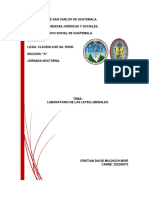 Laboratorio Leyes Liberales