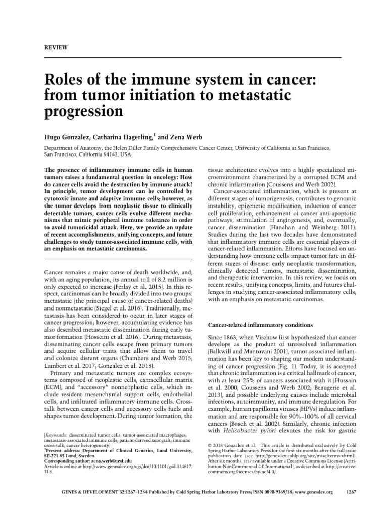 Roles of The Immune System in Cancer - From Tumor Initiation To ...