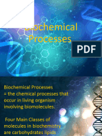 Module 1 Biochemical Processes