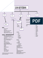 Mapa Conceptual de Los Sentidos