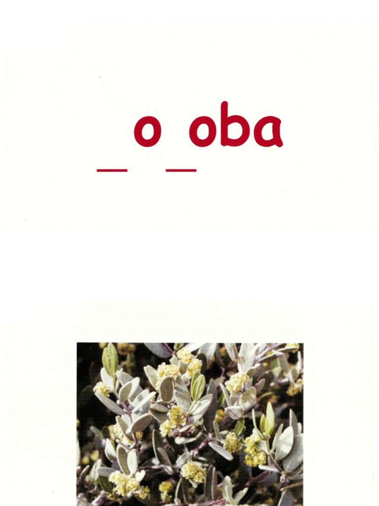 Language Genius II Cards (Part 3) | PDF