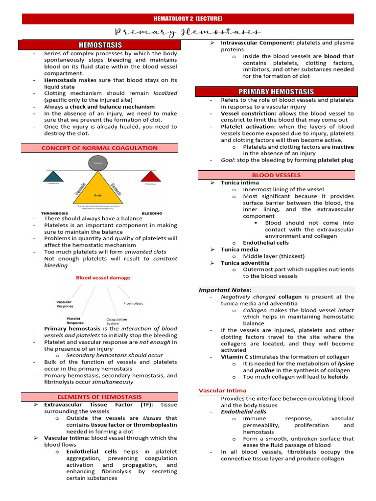 Lecture Lesson 2. Primary Hemostasis | PDF | Platelet | Coagulation