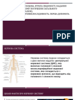 НЕРВОВА СИСТЕМА