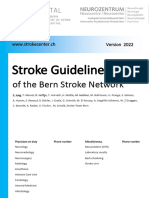 Eng Stroke Guidelines 2022 SWS