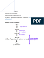 1-4 Semaine de Developpemet Embryonnaire