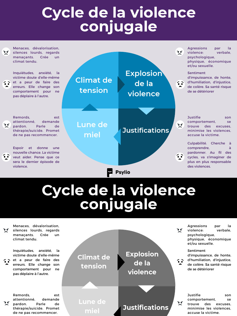 cycle-de-la-violence-conjugale-pdf-honte-la-violence