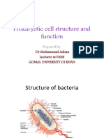 5 Prokaryatic Structure and Function 5